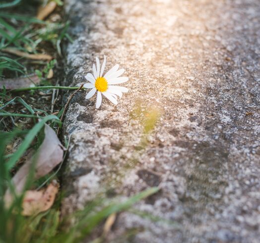 Leto von Butz Bestattungen