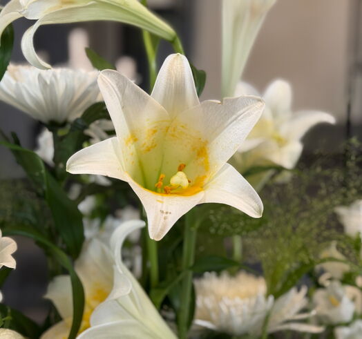 Leto von Butz Bestattungen Solingen